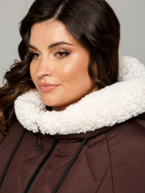 Зимняя куртка All Posa модель ap101655p-shokolad Фото