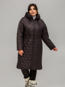 Зимняя куртка All Posa модель ap101608p-baklazhan Фото