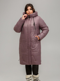 Зимняя куртка All Posa модель ap101551p-dimchasta-troqnda Фото