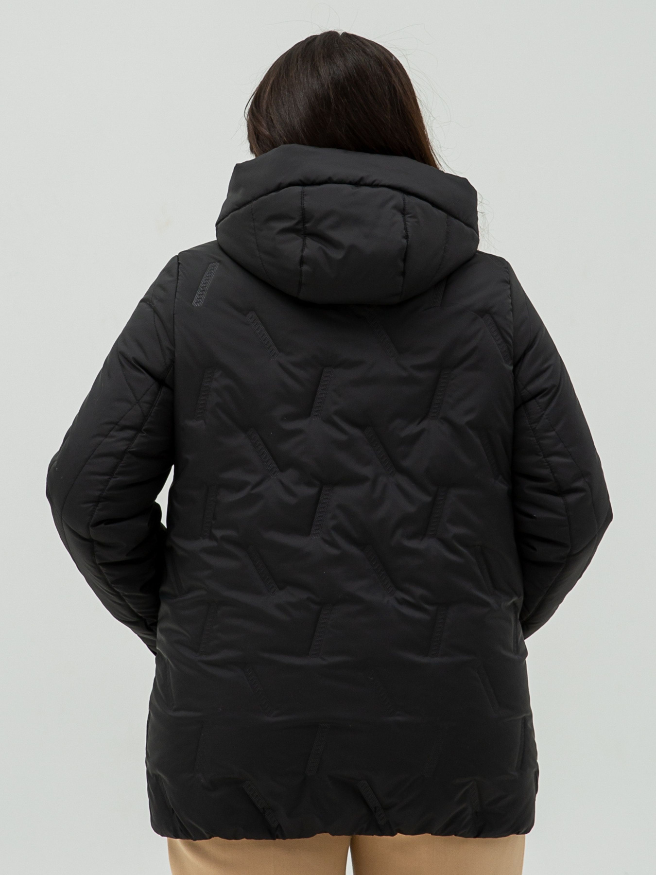 Демисезонная куртка All Posa модель ap101362p-chornij Фото