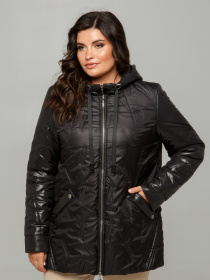 Демисезонная куртка All Posa модель ap101362p-chornij-blisk Фото