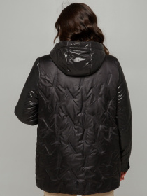 Демисезонная куртка All Posa модель ap101362p-chornij-blisk Демисезонная куртка All Posa модель ap101362p-chornij-blisk Фото