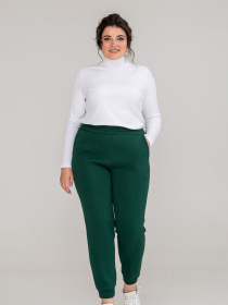 Джоггеры All Posa модель ap101291p-zelenij Фото