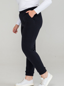 Джоггеры All Posa модель ap101291p-temno-sinj Фото