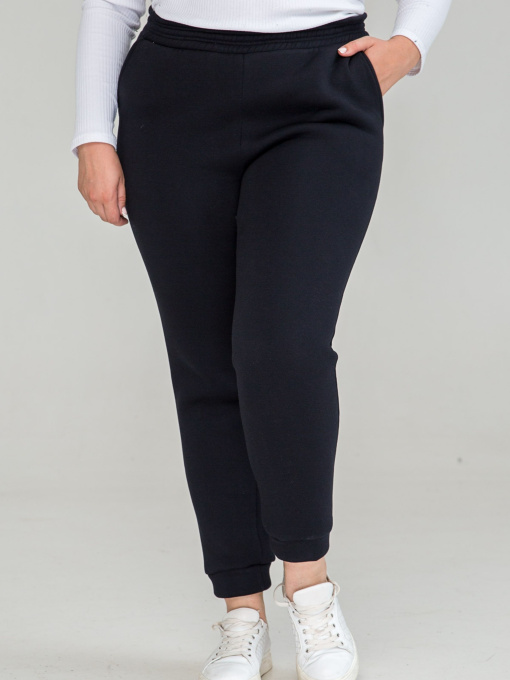 Джоггеры All Posa модель ap101291p-temno-sinj Фото