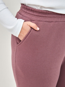 Джоггеры All Posa модель ap101291p-dimchasta-troqnda Фото