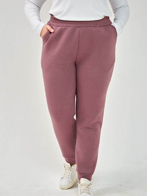 Джоггеры All Posa модель ap101291p-dimchasta-troqnda Фото