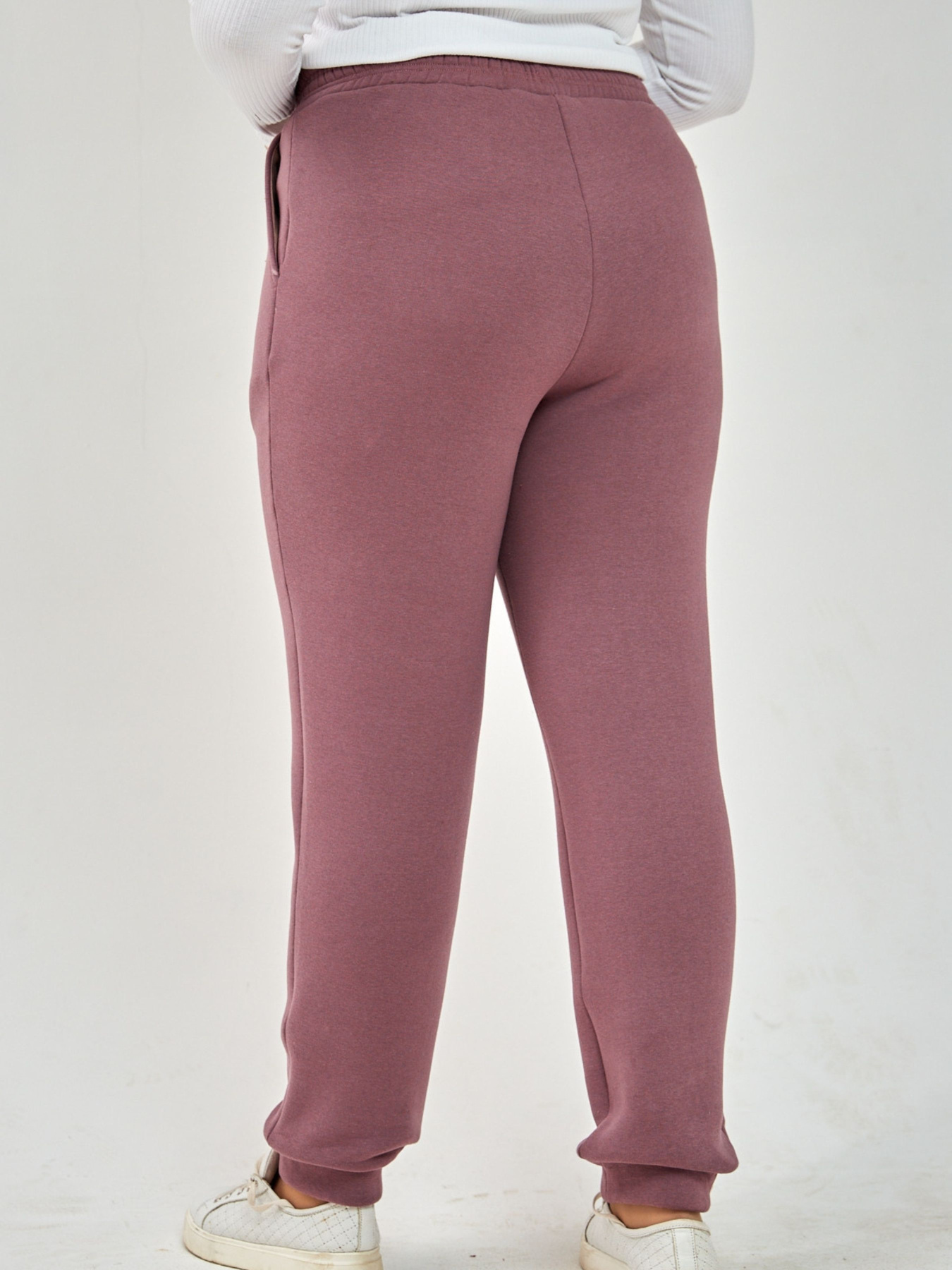 Джоггеры All Posa модель ap101291p-dimchasta-troqnda Фото