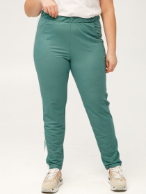 Спортивний костюм All Posa Комплект (кофта+штани) модель ap101519p-polin Фото