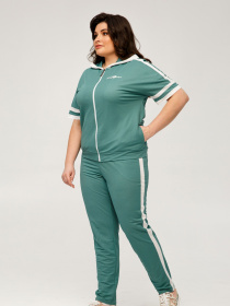 Спортивний костюм All Posa Комплект (кофта+штани) модель ap101519p-polin Фото