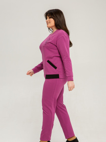 Повседневный костюм All Posa Комплект (кофта+штани) модель ap101452p-buzok Фото