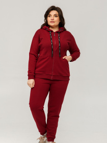 Спортивный костюм All Posa модель ap101438p-bordo Фото