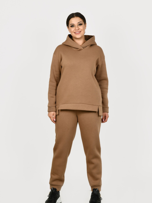 Повседневный костюм All Posa Комплект (кофта+штани) модель ap101308p-temno-bezhevij Фото