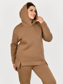 Повсякденний костюм All Posa Комплект (кофта+штани) модель ap101308p-temno-bezhevij Повсякденний костюм All Posa Комплект (кофта+штани) модель ap101308p-temno-bezhevij Фото