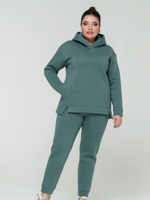 Повседневный костюм All Posa Комплект (кофта+штани) модель ap101308p-butilka Фото