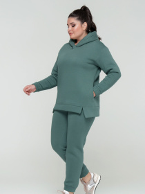 Повседневный костюм All Posa Комплект (кофта+штани) модель ap101308p-butilka Повседневный костюм All Posa Комплект (кофта+штани) модель ap101308p-butilka Фото