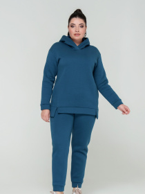 Повседневный костюм All Posa Комплект (кофта+штани) модель ap101308p-morsxka-hvilq Фото