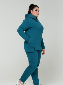 Повседневный костюм All Posa Комплект (кофта+штани) модель ap101308p-bryuza Повседневный костюм All Posa Комплект (кофта+штани) модель ap101308p-bryuza Фото