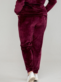 Повсякденний костюм All Posa Комплект (кофта+штани) модель ap101277p-bordo Фото