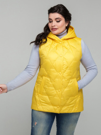Утепленный жилет All Posa модель ap101857p-zhovtij Фото
