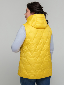 Утепленный жилет All Posa модель ap101857p-zhovtij Фото