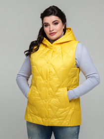Утеплений жилет All Posa модель ap101857p-zhovtij Фото