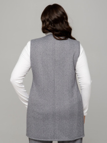 Жилет класичний All Posa модель ap101670p-srij Фото