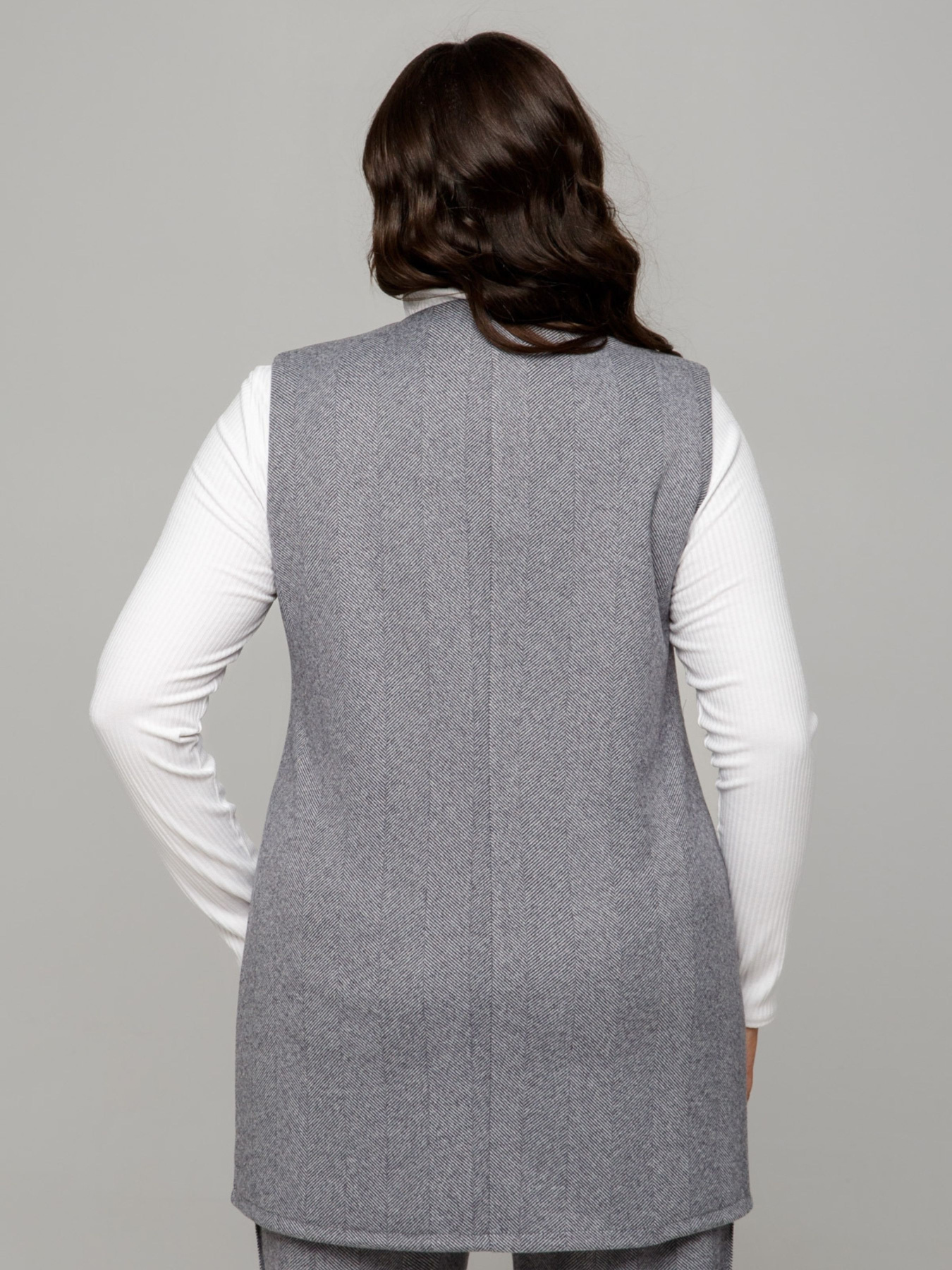 Класичний жилет All Posa модель ap101670p-srij Фото