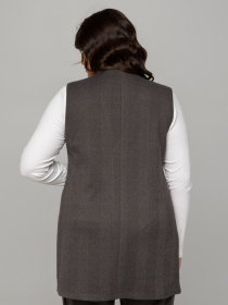 Жилет класичний All Posa модель ap101670p-graft Фото
