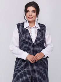 Жилет класичний All Posa модель ap100878p-sinj Фото