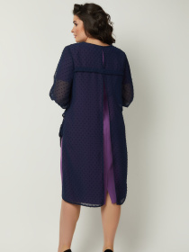Платье миди All Posa Комплект (накидка+сукня) модель ap100990p-buzok Фото