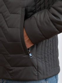 Демісезонна куртка AVALON модель 46-V-oliv Фото