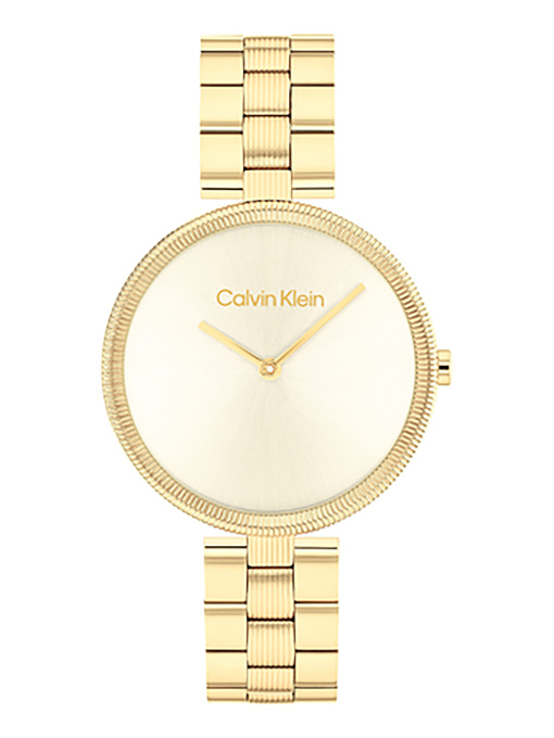 Часы Calvin Klein модель 25100014 Фото