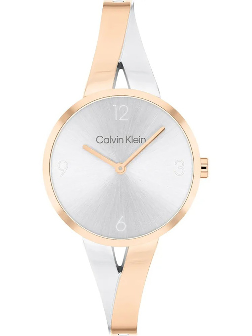 Часы Calvin Klein модель 25100028 Фото