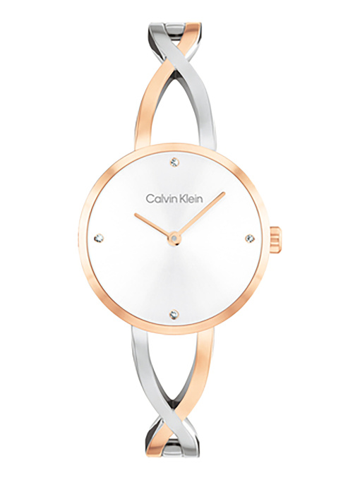 Часы Calvin Klein модель 25100060 Фото