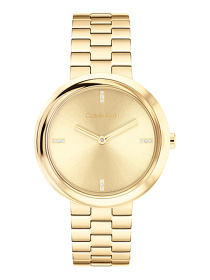 Часы Calvin Klein модель 25100094 Фото