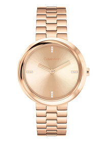 Часы Calvin Klein модель 25100095 Фото