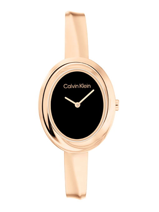 Часы Calvin Klein модель 25100057 Фото