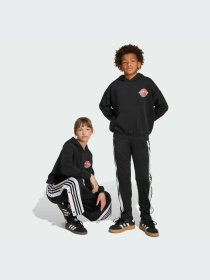 Брюки Adidas Adicolor модель JX1091-KZ Фото
