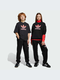 Брюки Adidas Adicolor модель JV7781-KZ Фото