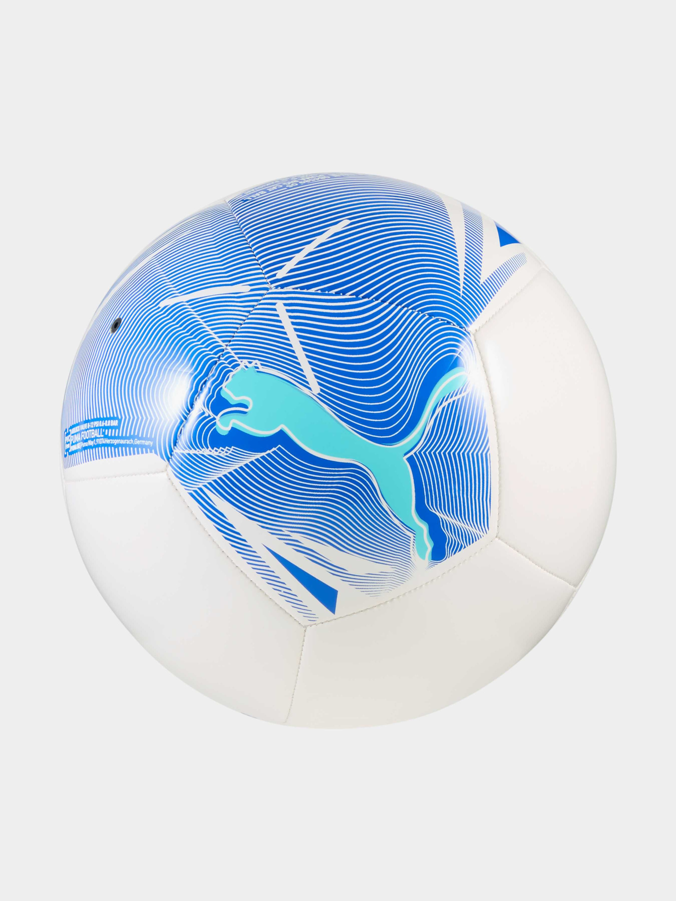 М'ячі PUMA Big Cat Ball модель 084589 Фото