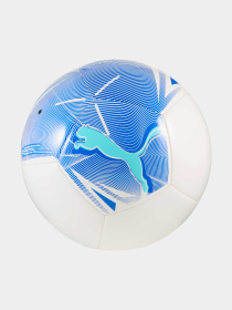 М'ячі PUMA Big Cat Ball модель 084589 Фото