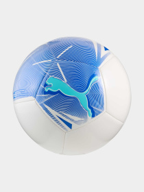 М'ячі PUMA Big Cat Ball модель 084589 Фото