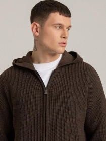 Светр DIVERSE Cltn Awlo модель 10045877 Фото