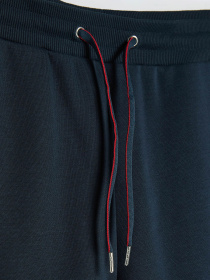 Штани спортивні DIVERSE Blaws Sp модель 10047378 Фото