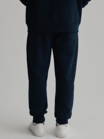 Штани спортивні DIVERSE Blaws Sp модель 10047378 Фото