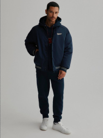 Штаны спортивные DIVERSE Blaws Sp модель 10047378 Штаны спортивные DIVERSE Blaws Sp модель 10047378 Фото