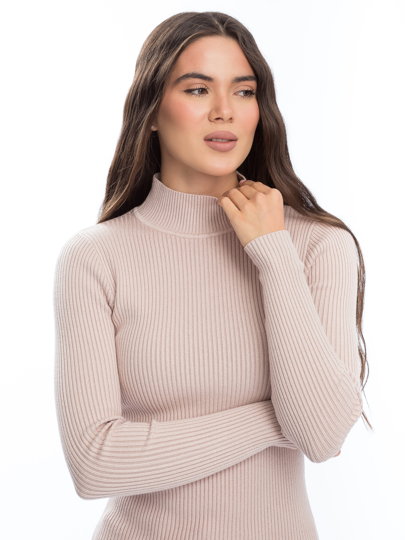 Водолазка Famo модель GO-1401_20 Фото