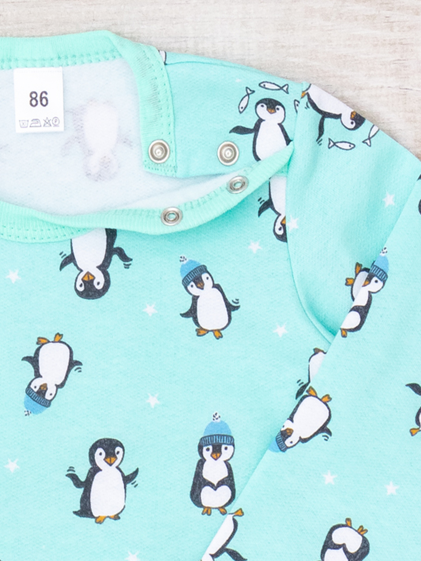 Боди для младенцев Носи своє модель 5010-024-4-pngvn-svtla-m-qta Фото