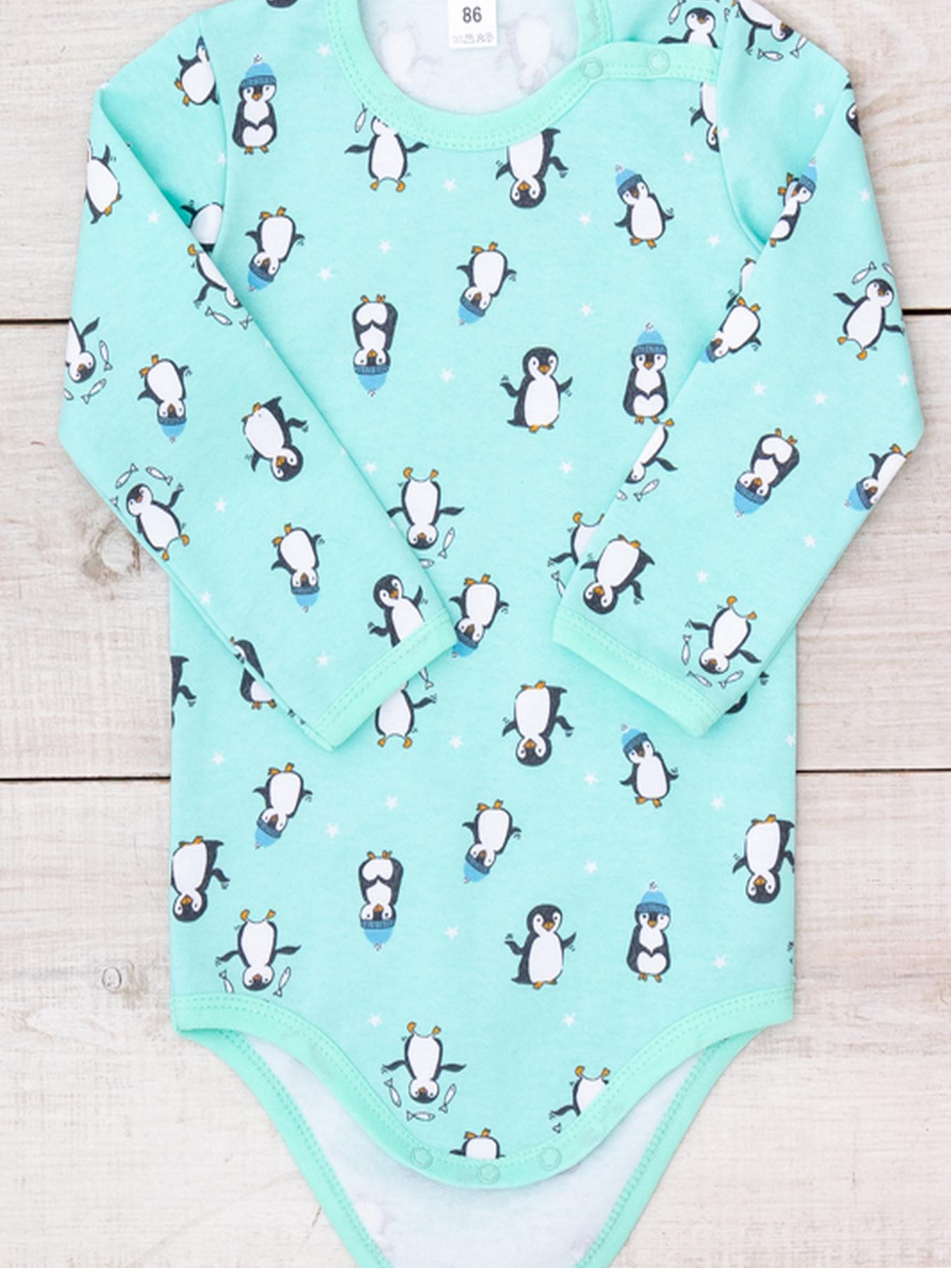 Боди для младенцев Носи своє модель 5010-024-4-pngvn-svtla-m-qta Боди для младенцев Носи своє модель 5010-024-4-pngvn-svtla-m-qta Фото